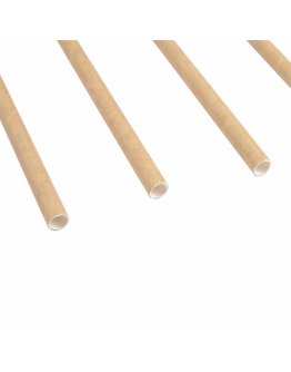 Pailles Droites Kraft Ø 0,60x20 par 250