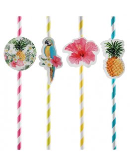 Paille Tropical par 8