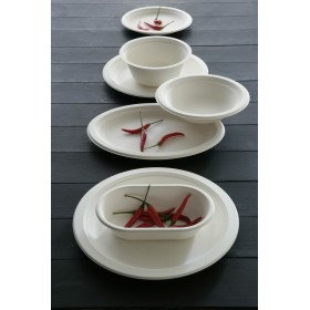 Assiette pulpe 18cm par 50