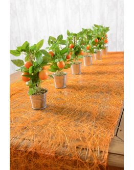 Chemin de table Abaca